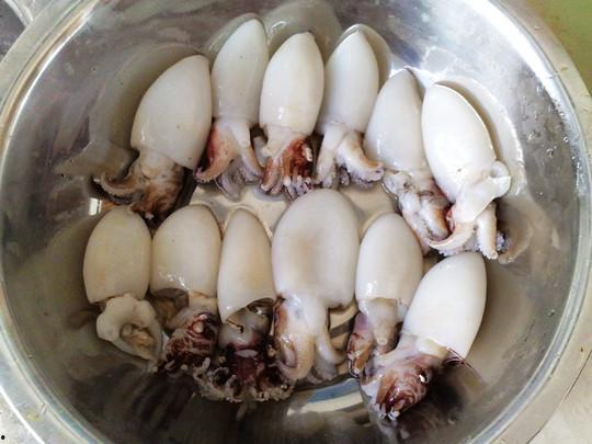 小墨鱼最新爆料,揭秘娱乐圈最新动态